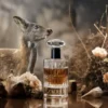 مشک آهو: عطر و رازی خوشبو در دل طبیعت: خرید عطر مشک آهو: مشک ختن