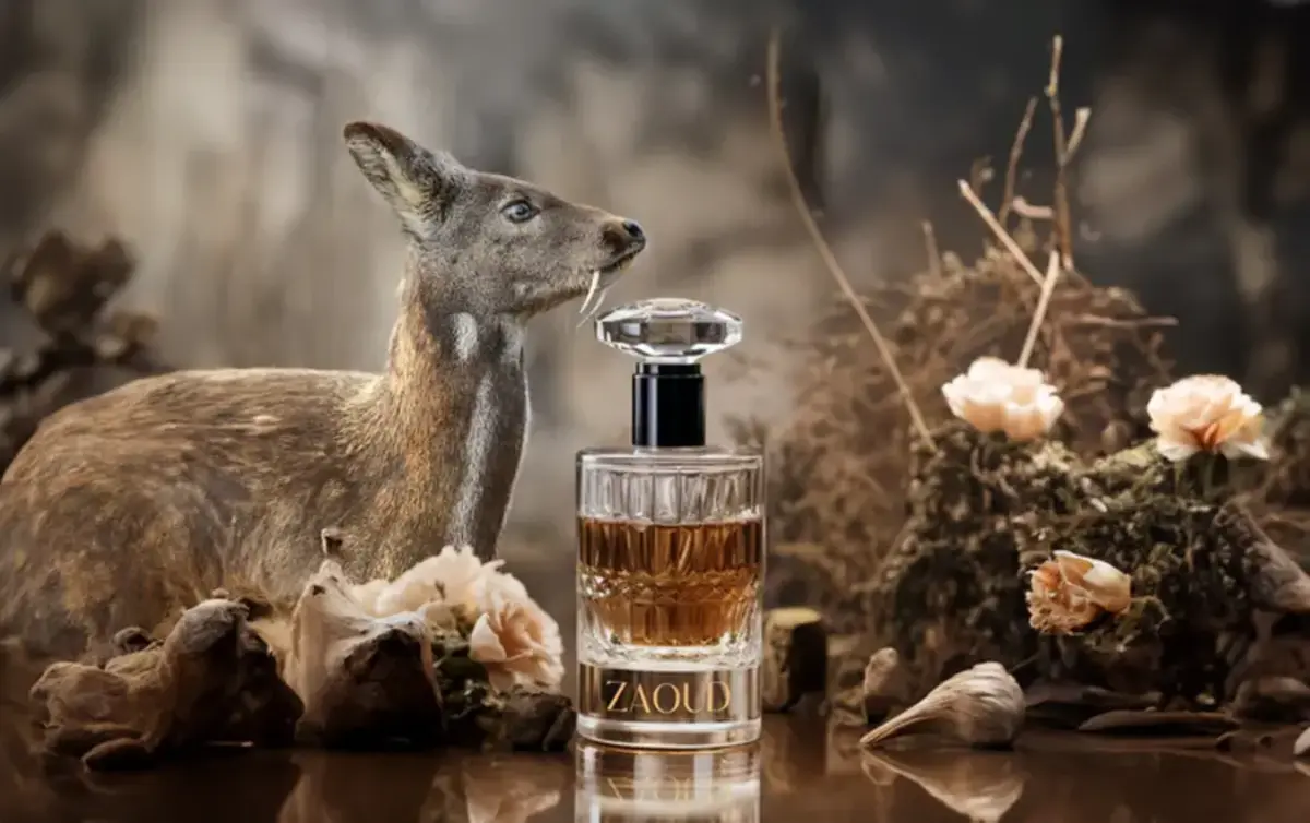 مشک آهو: عطر و رازی خوشبو در دل طبیعت: خرید عطر مشک آهو: مشک ختن